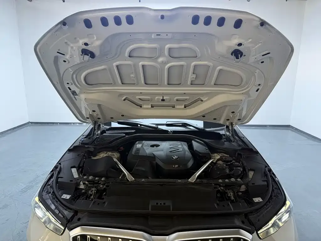 BMW 5 Series 2024 из CN, фото 3