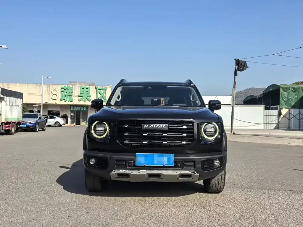 Haval Big Dog 2021 из CN, фото 5