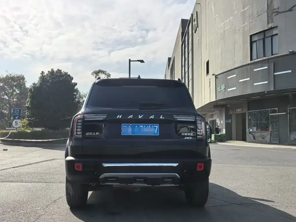 Haval Big Dog 2021 из CN, фото 4