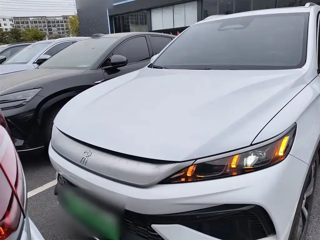BYD Pro New Energy 2025 из CN, фото 5