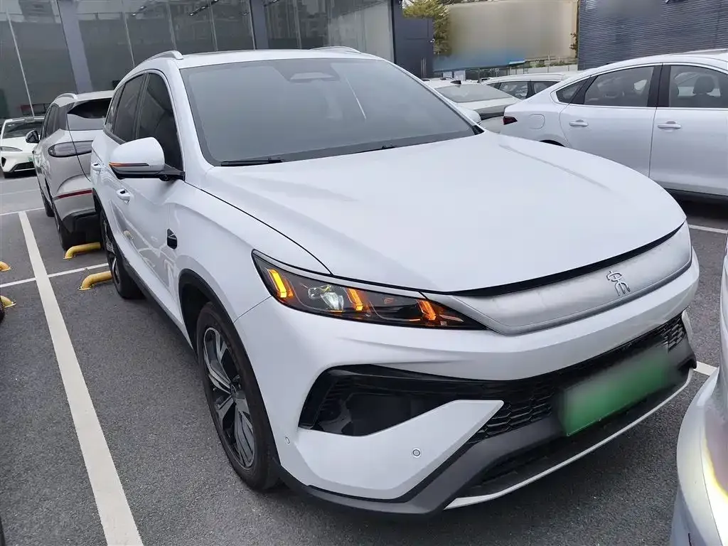 BYD Pro New Energy 2025 из CN, фото 4