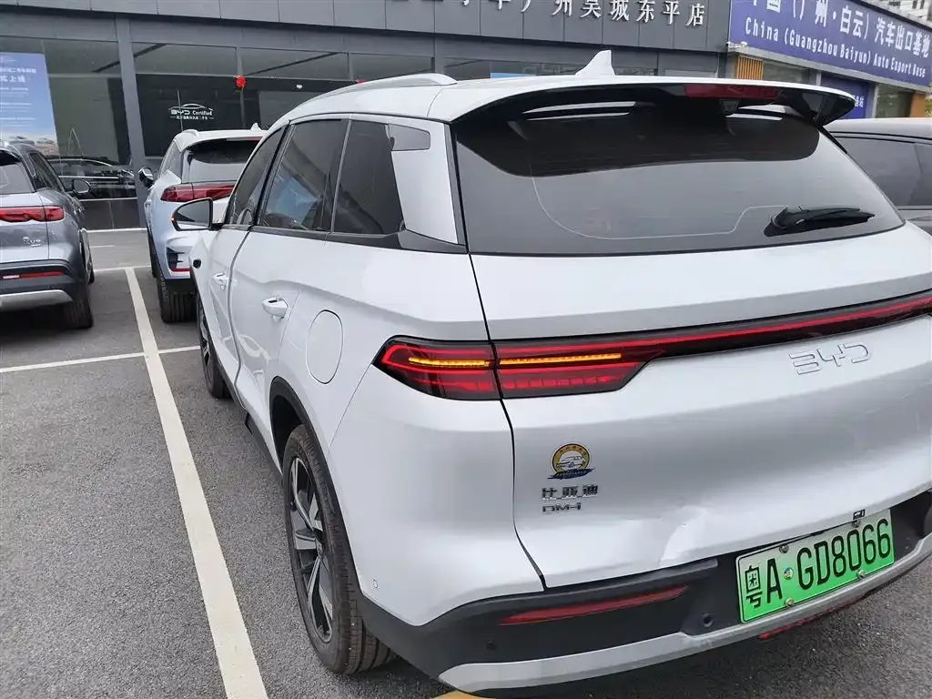 BYD Pro New Energy 2025 из CN, фото 10
