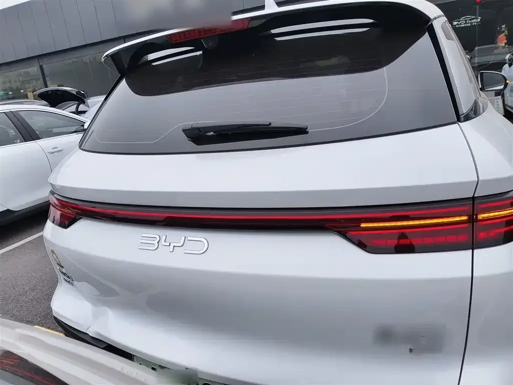 BYD Pro New Energy 2025 из CN, фото 6