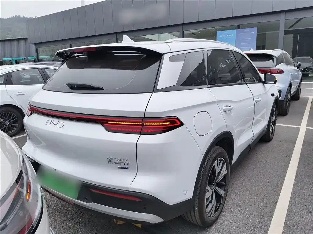 BYD Pro New Energy 2025 из CN, фото 9
