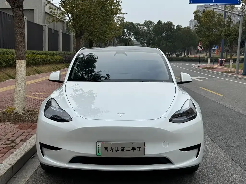 Tesla Model Y 2024 из CN, фото 5