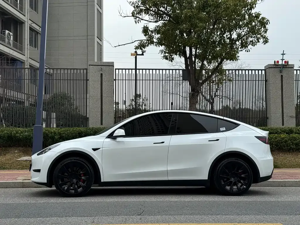 Tesla Model Y 2024 из CN, фото 9