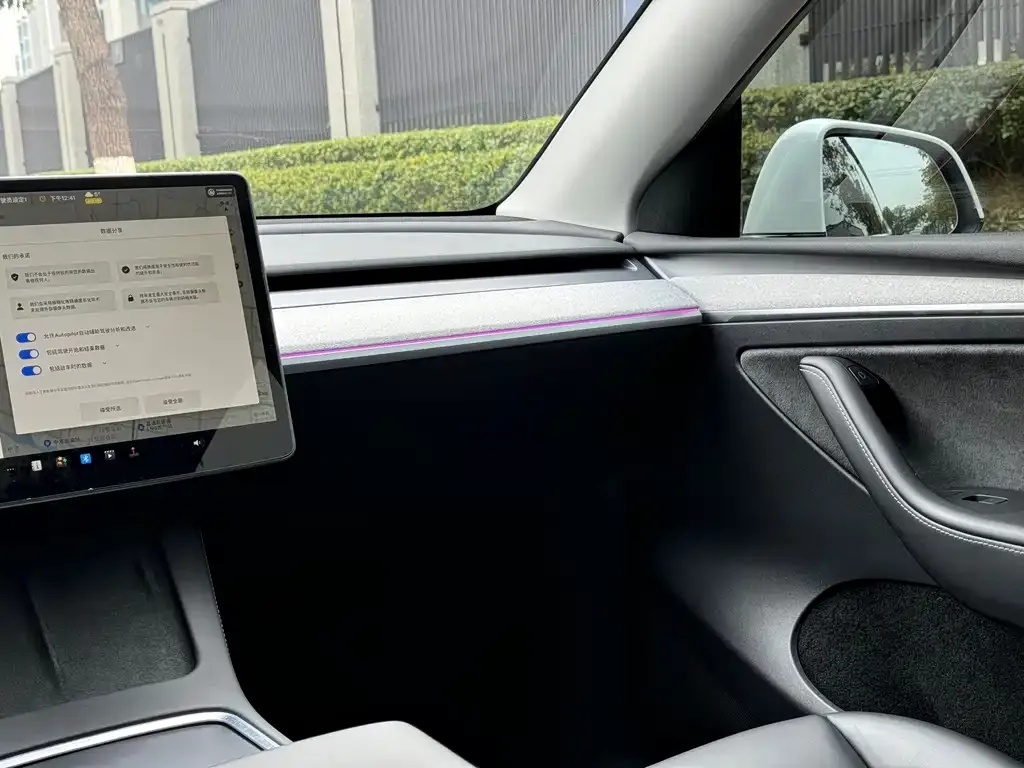 Tesla Model Y 2024 из CN, фото 3