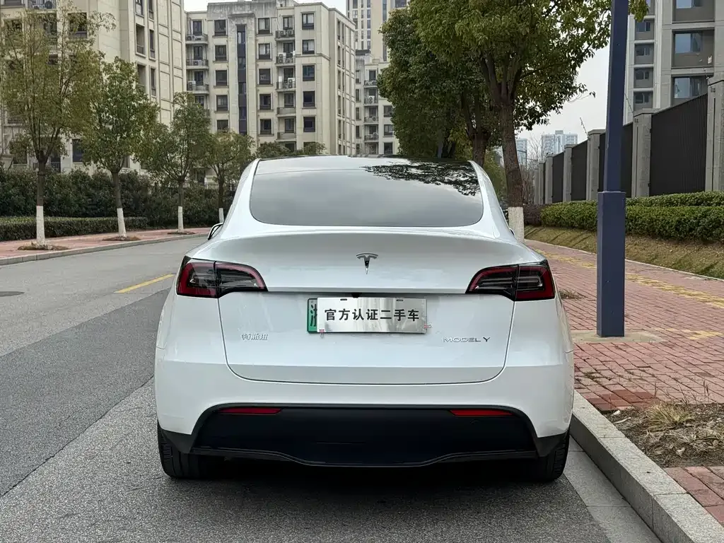 Tesla Model Y 2024 из CN, фото 6