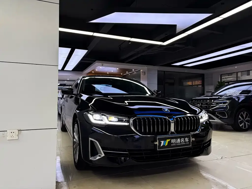 BMW 5 Series 2022 из CN, фото 2