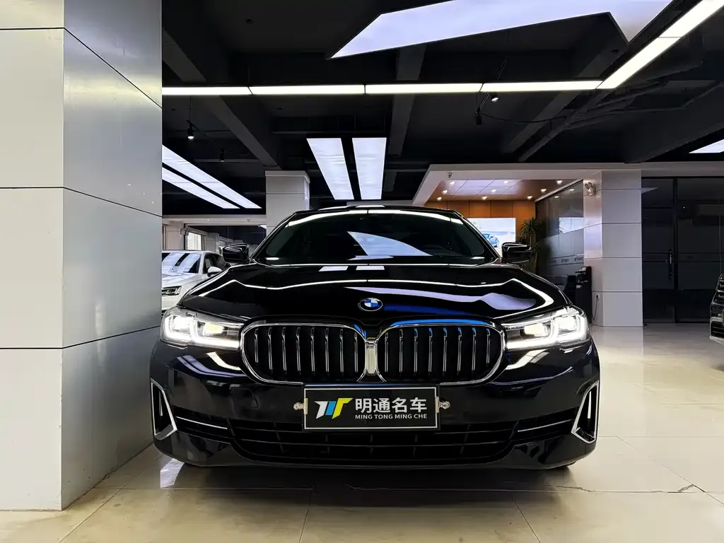 BMW 5 Series 2022 из CN, фото 4