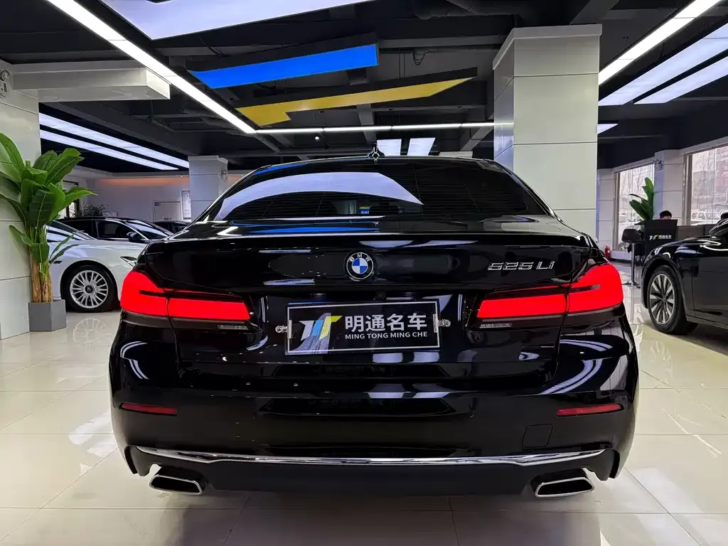 BMW 5 Series 2022 из CN, фото 6