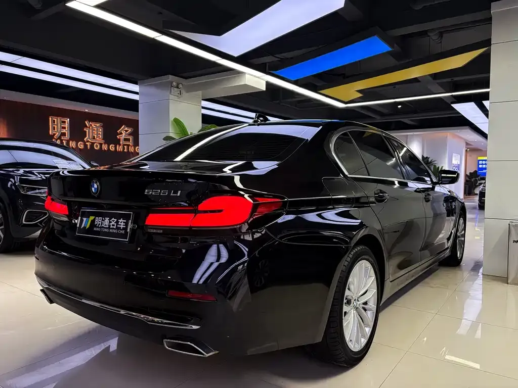 BMW 5 Series 2022 из CN, фото 7