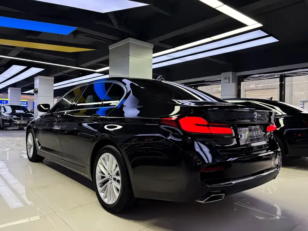 BMW 5 Series 2022 из CN, фото 3