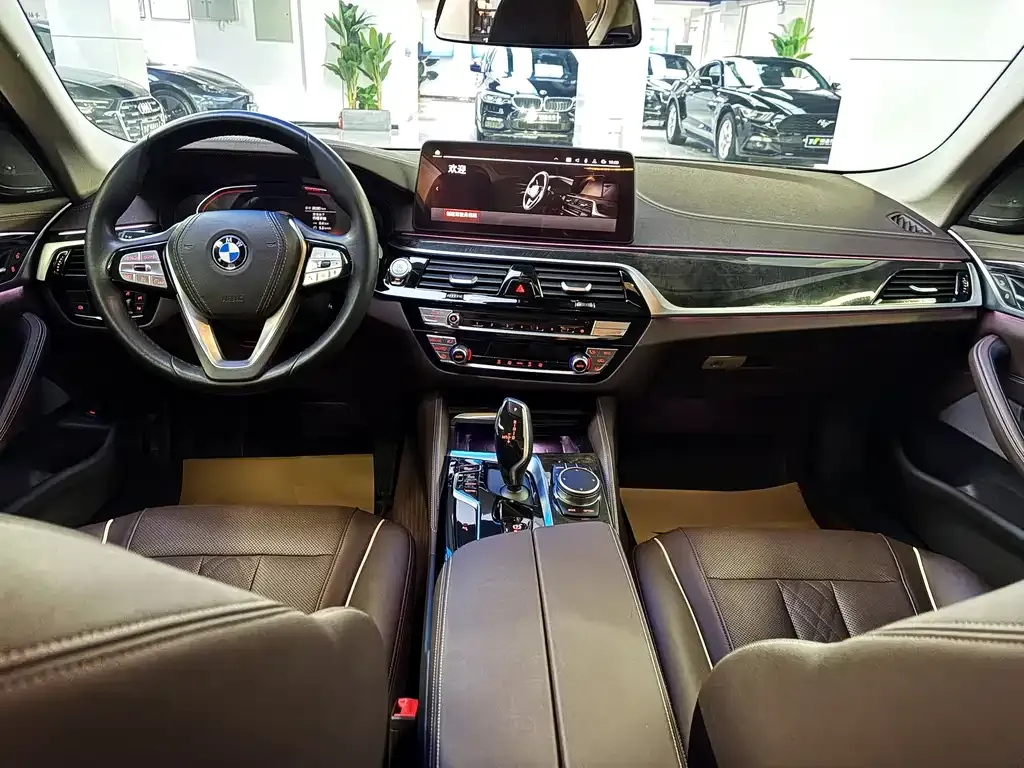 BMW 5 Series 2022 из CN, фото 9