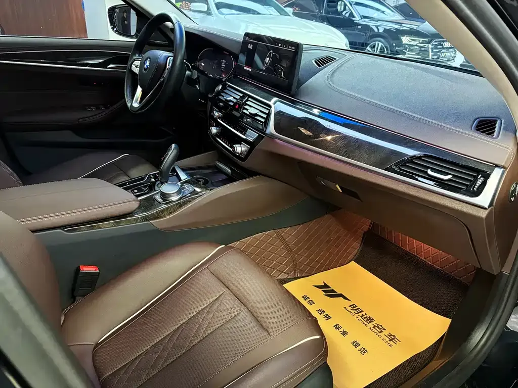 BMW 5 Series 2022 из CN, фото 8