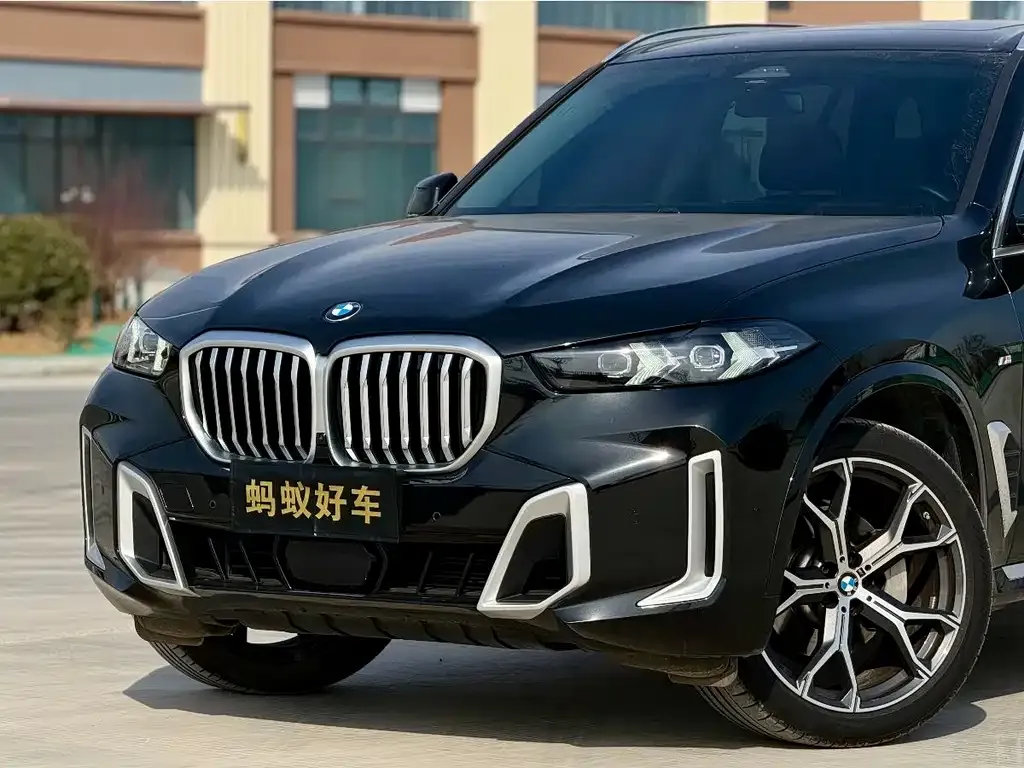 BMW X5 2024 из CN, фото 9