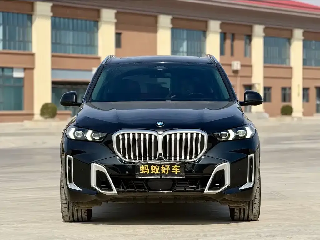 BMW X5 2024 из CN, фото 3