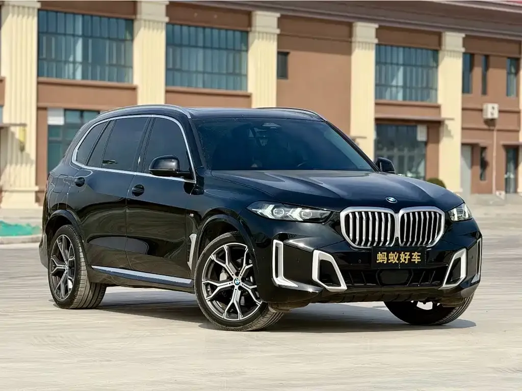 BMW X5 2024 из CN, фото 8
