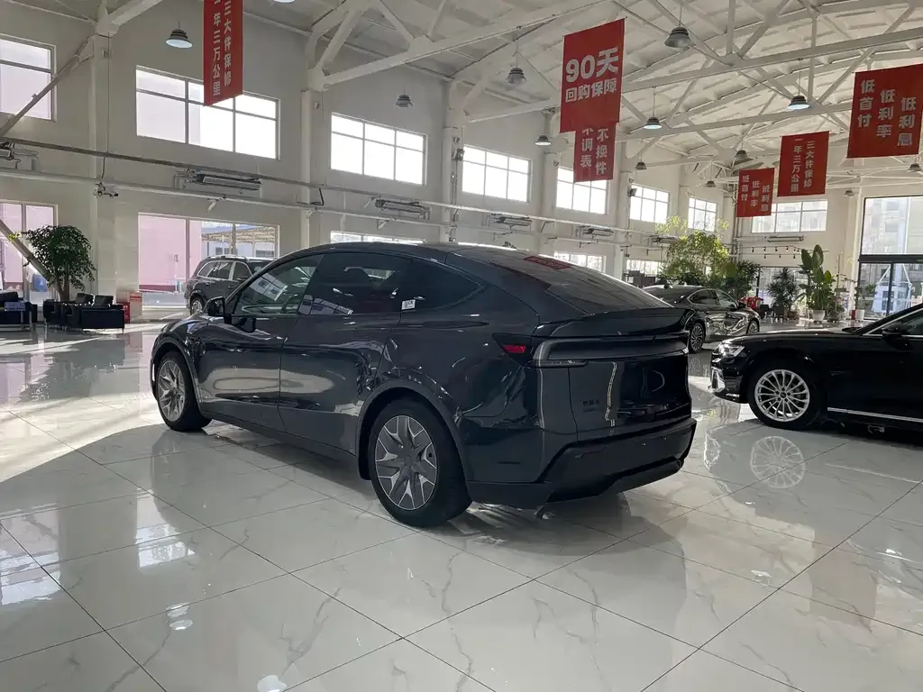 Tesla Model Y L 2025 из CN, фото 9