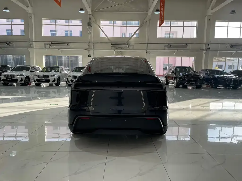 Tesla Model Y L 2025 из CN, фото 10