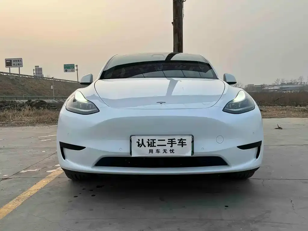 Tesla Model Y 2022 из CN, фото 4