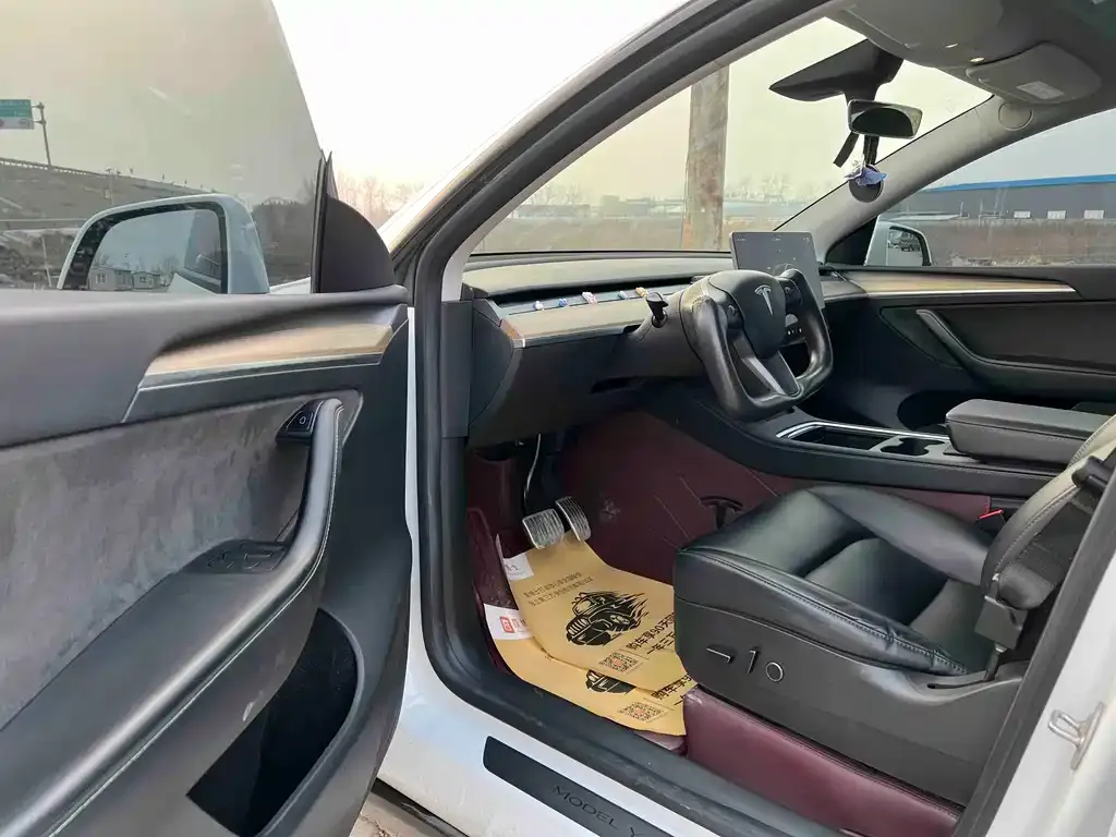 Tesla Model Y 2022 из CN, фото 7