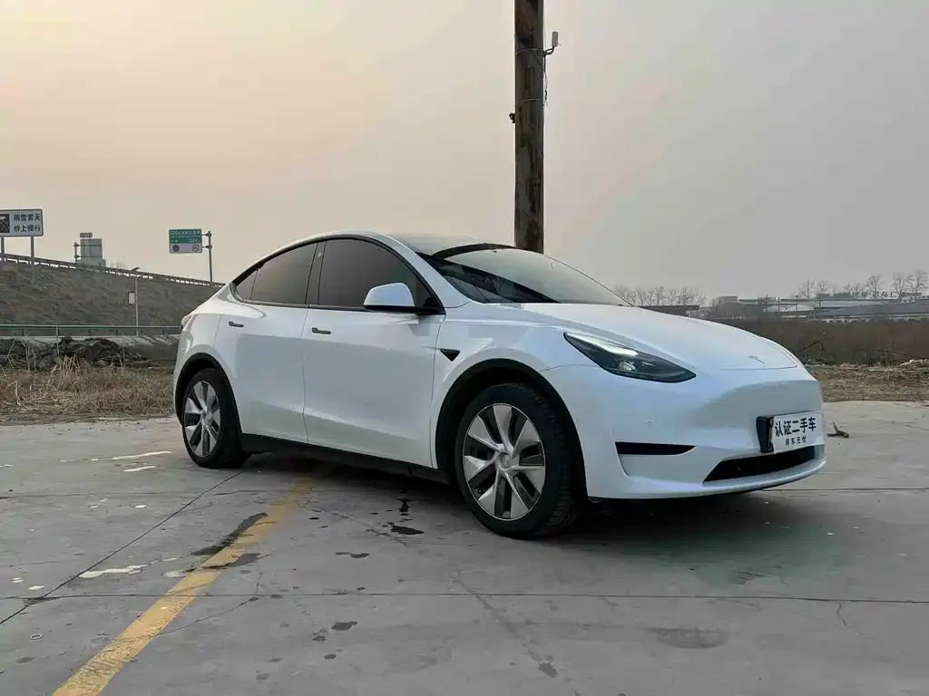 Tesla Model Y 2022 из CN, фото 5