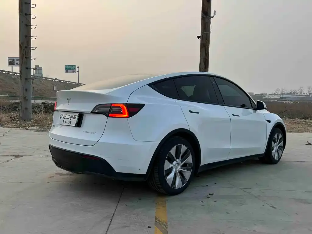 Tesla Model Y 2022 из CN, фото 3