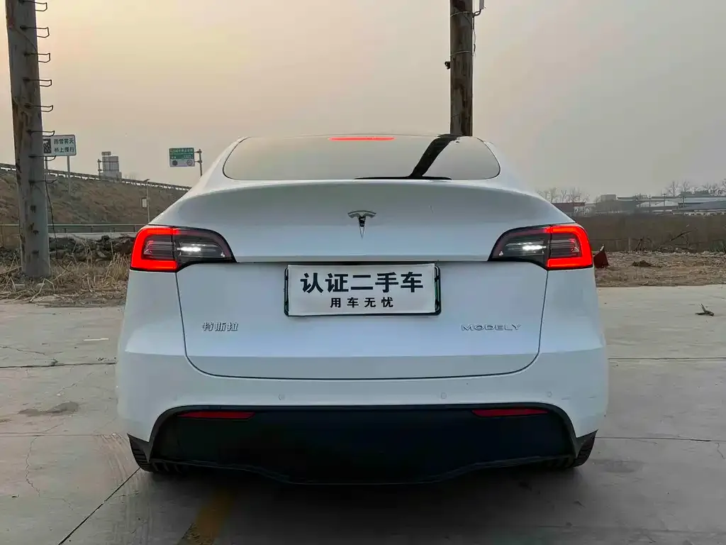 Tesla Model Y 2022 из CN, фото 9