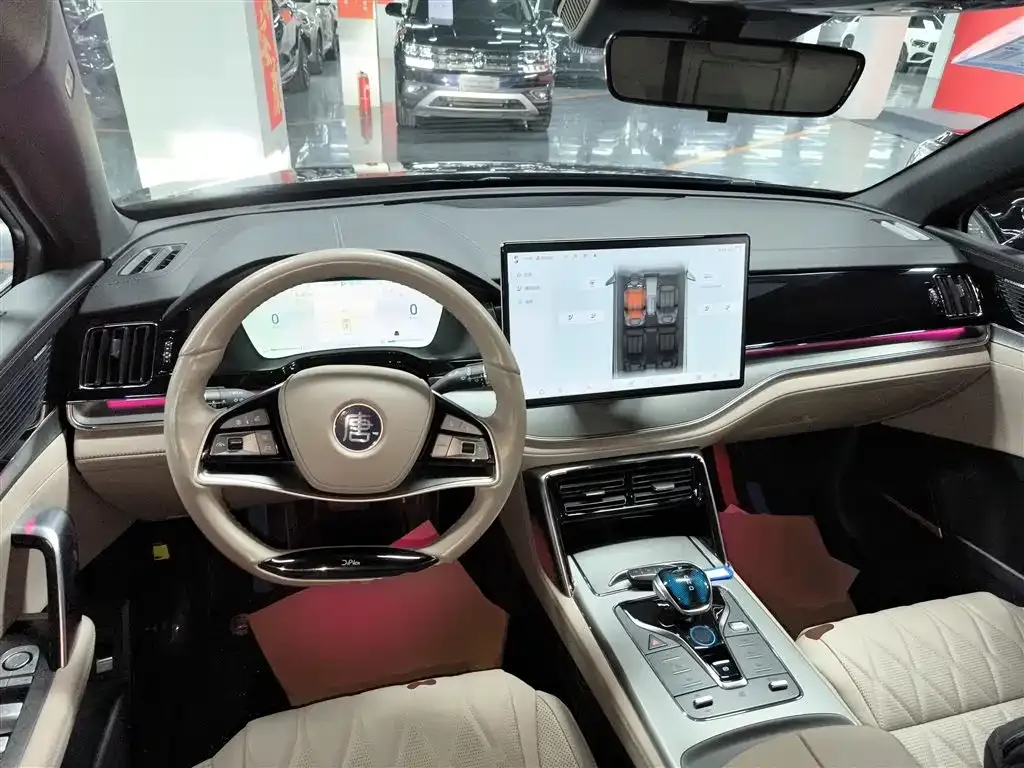 BYD Tang New Energy 2024 из CN, фото 9