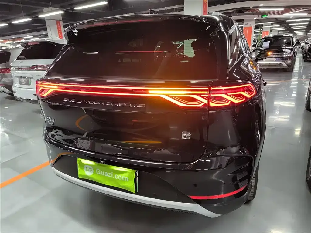 BYD Tang New Energy 2024 из CN, фото 7