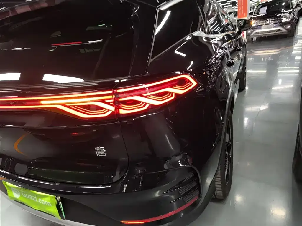 BYD Tang New Energy 2024 из CN, фото 5