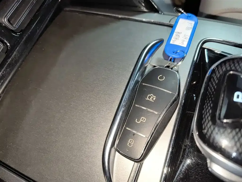 BYD Tang New Energy 2024 из CN, фото 10