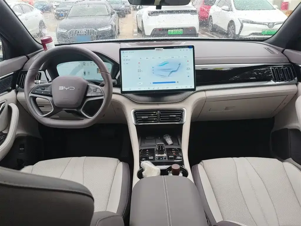 BYD PLUS New Energy 2025 из CN, фото 3
