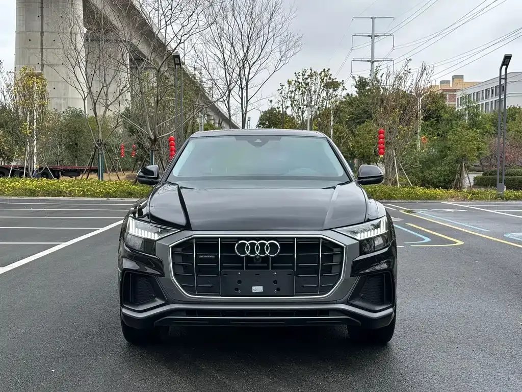 Audi Q8 2023 из CN, фото 7