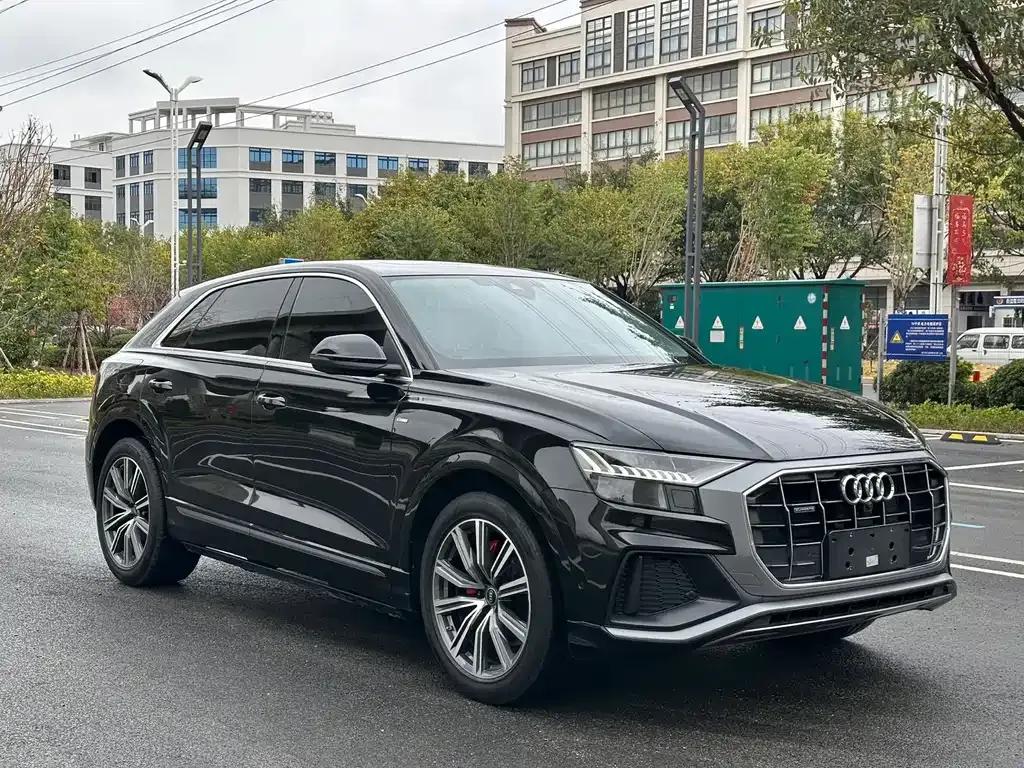 Audi Q8 2023 из CN, фото 10