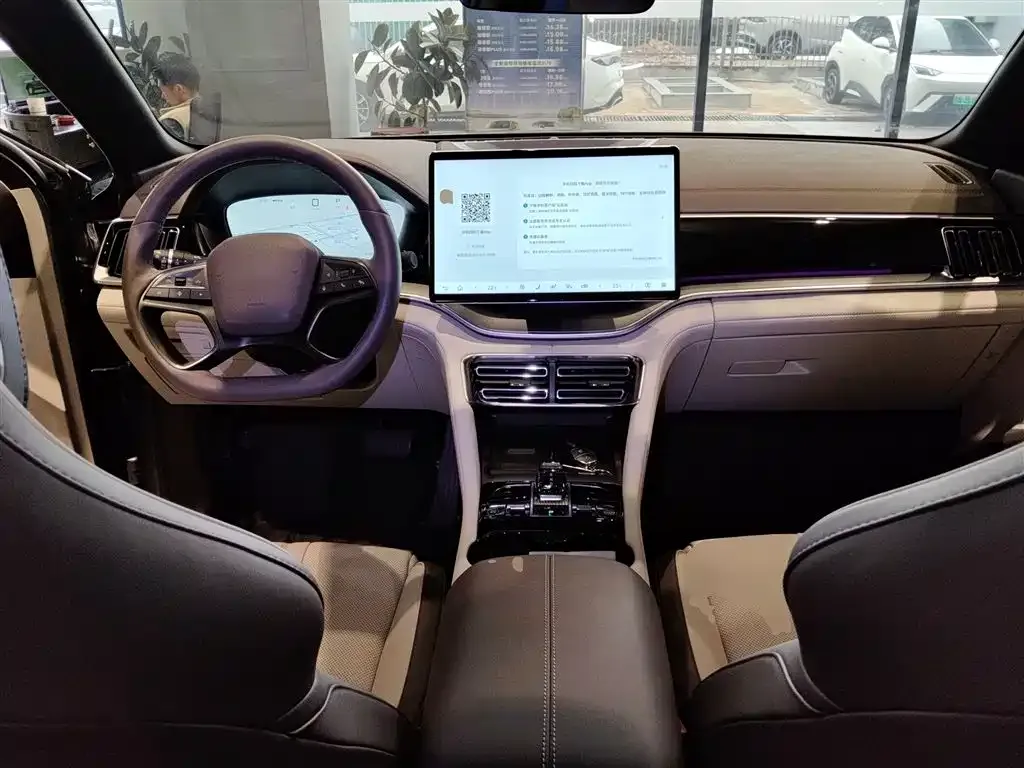 BYD PLUS New Energy 2025 из CN, фото 5