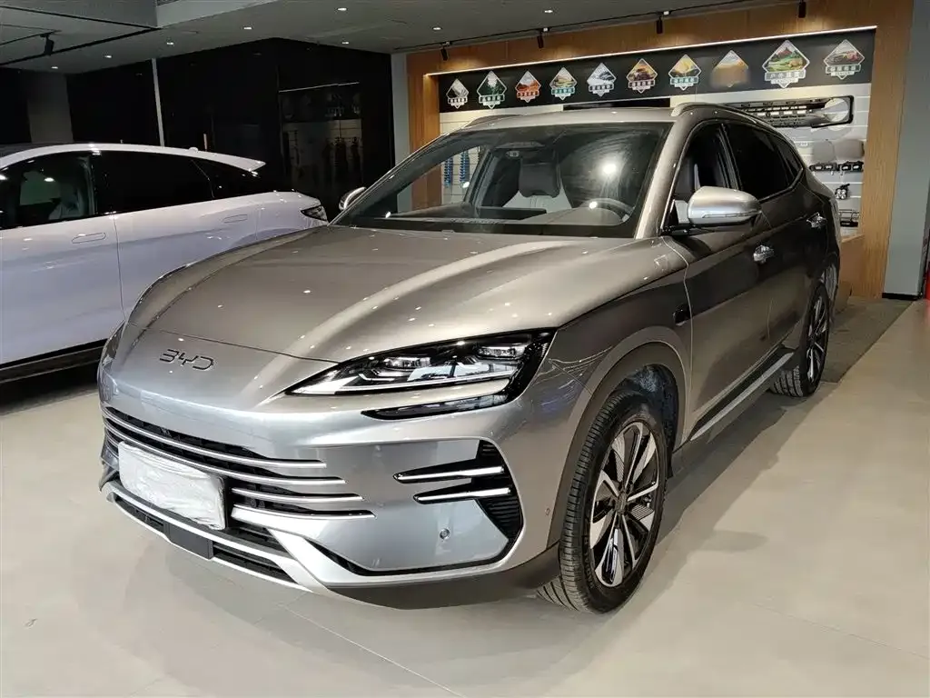 BYD PLUS New Energy 2025 из CN, фото 10