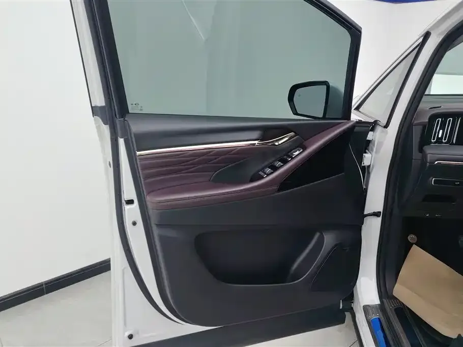 GAC Motor Trumpchi M8 2023 из CN, фото 4