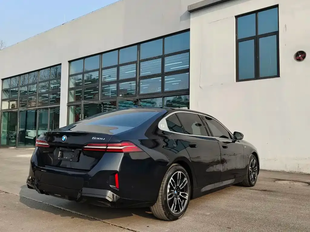 BMW 5 Series 2025 из CN, фото 6