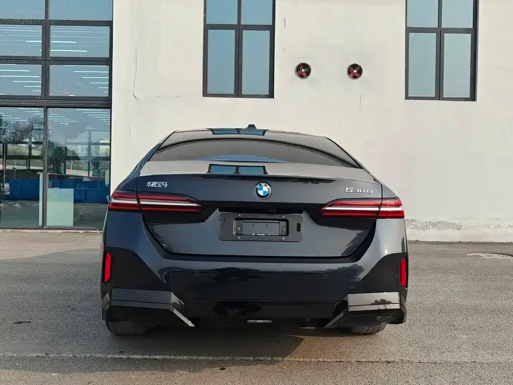 BMW 5 Series 2025 из CN, фото 5