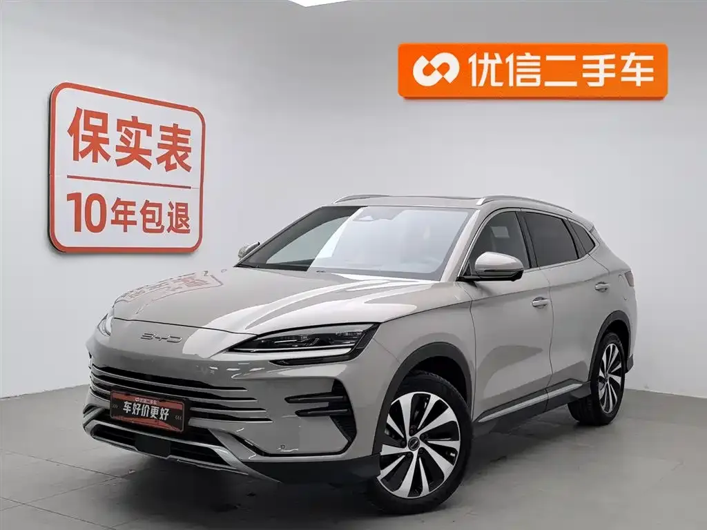 BYD PLUS New Energy 2023 из CN, фото 1