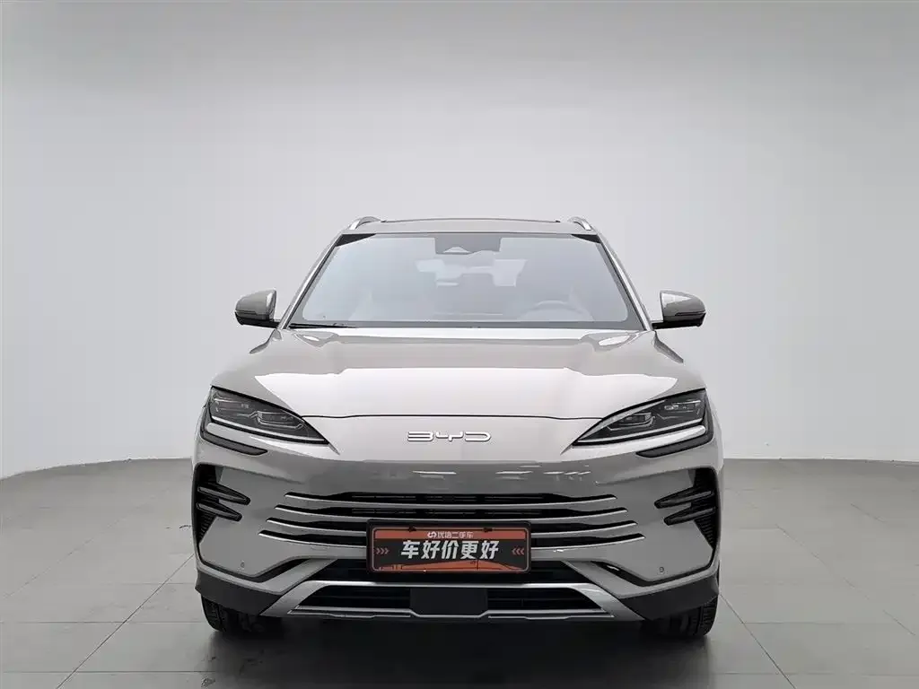 BYD PLUS New Energy 2023 из CN, фото 4