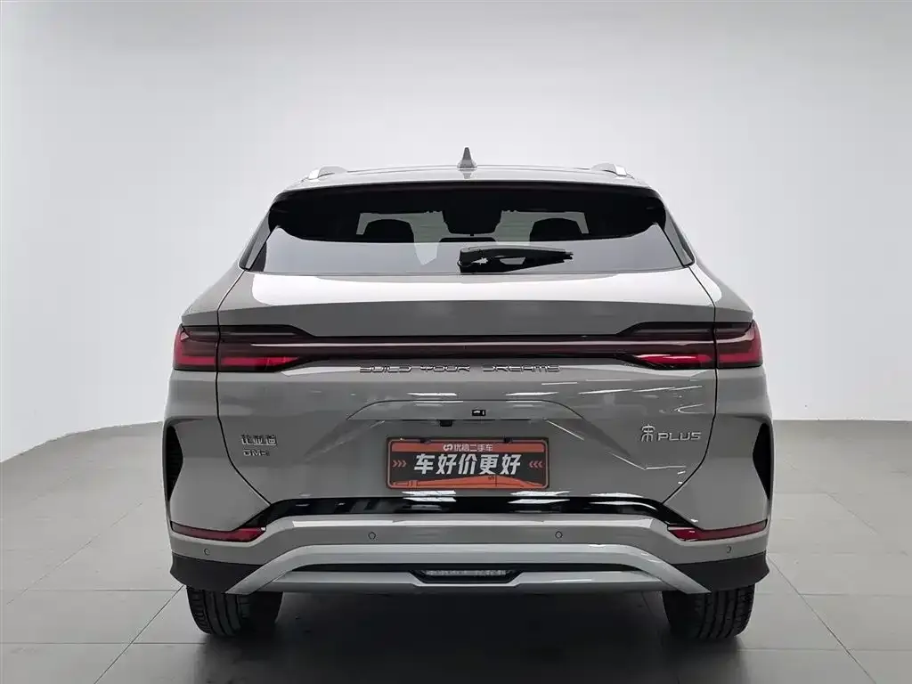 BYD PLUS New Energy 2023 из CN, фото 2