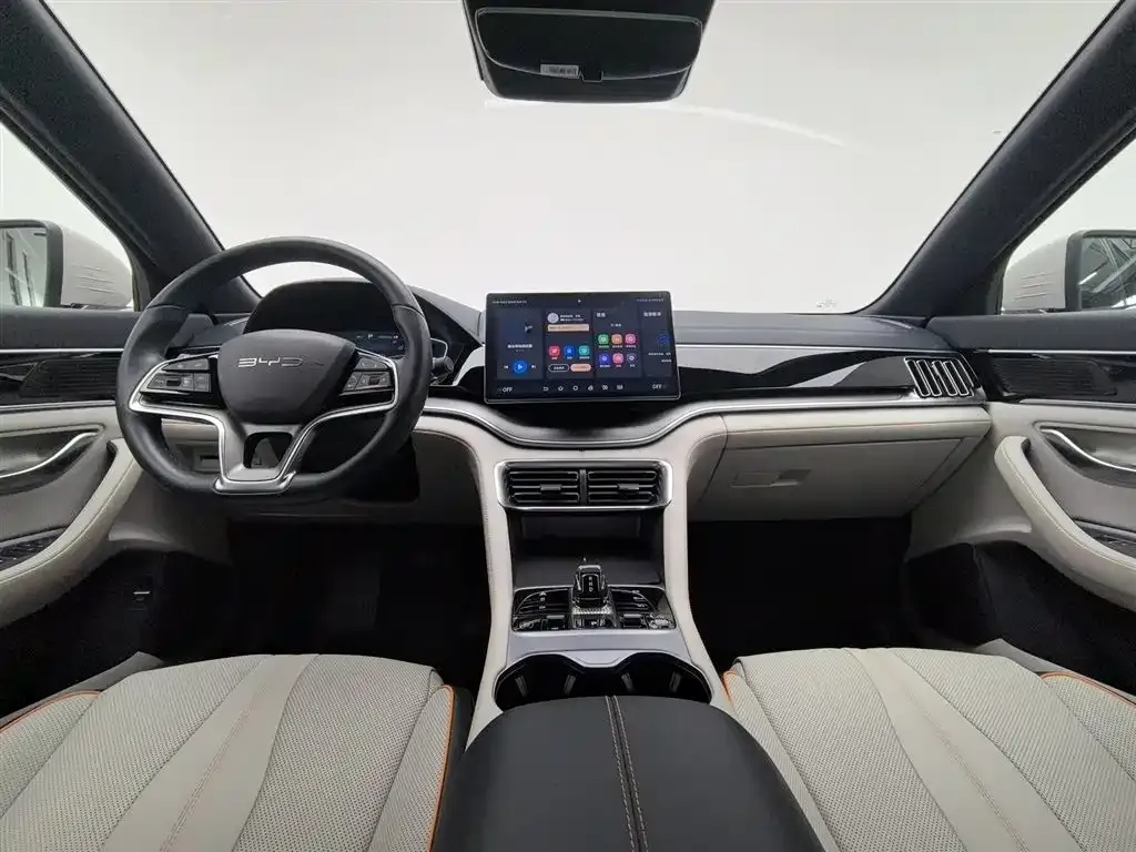 BYD PLUS New Energy 2023 из CN, фото 10