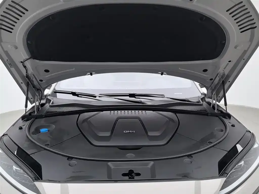 BYD PLUS New Energy 2023 из CN, фото 7