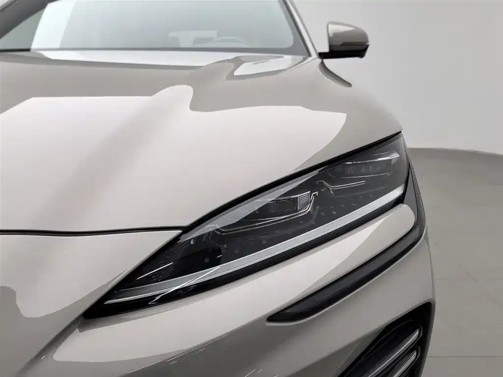 BYD PLUS New Energy 2023 из CN, фото 3