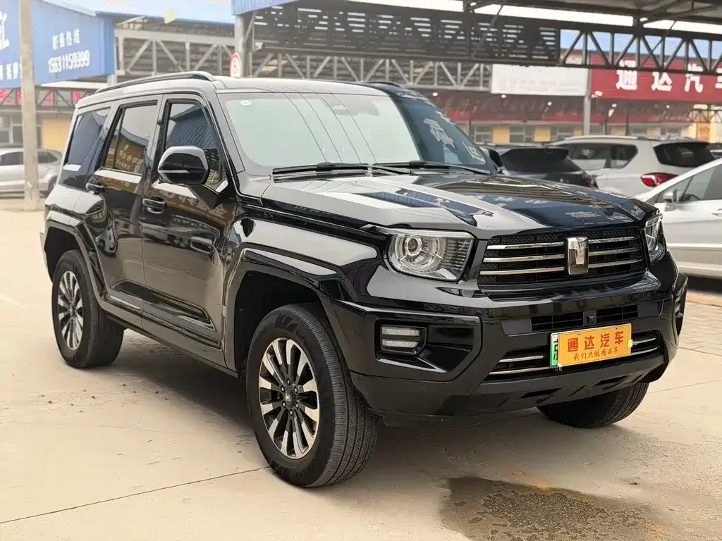 Tank 700 New Energy 2024 из CN, фото 2