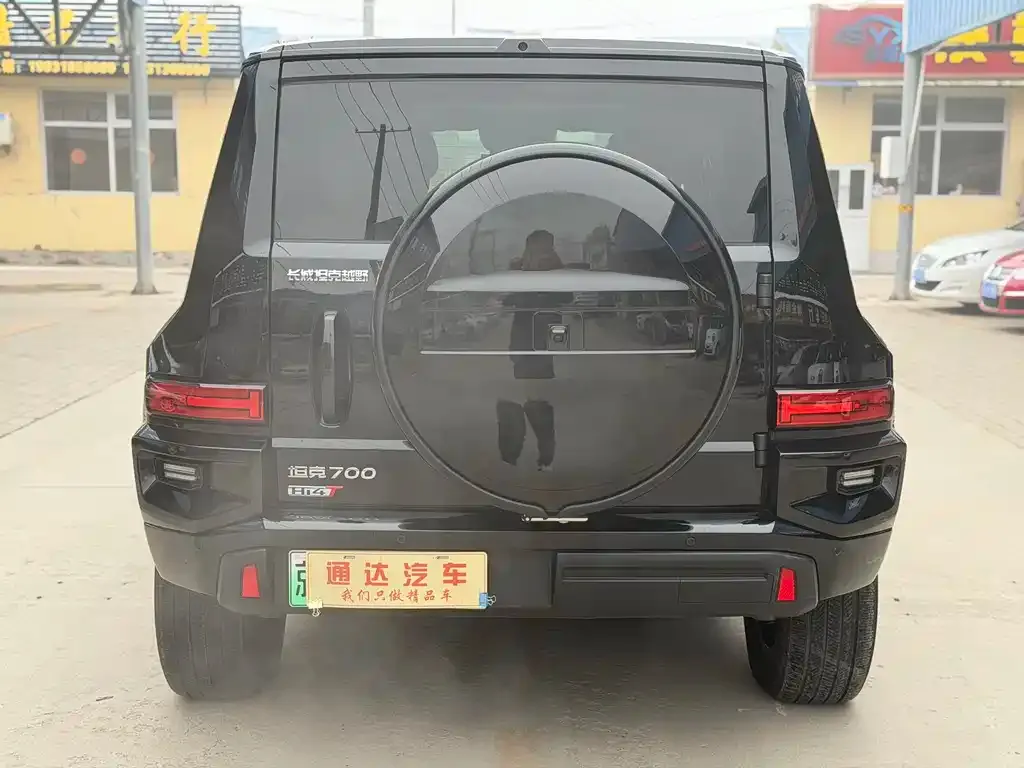 Tank 700 New Energy 2024 из CN, фото 5