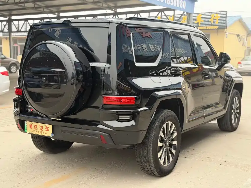 Tank 700 New Energy 2024 из CN, фото 8